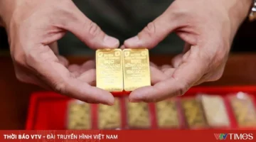 تراجع أسعار الذهب بمقدار 5 ملايين دونغ فيتنامي لكل تايل محلياً